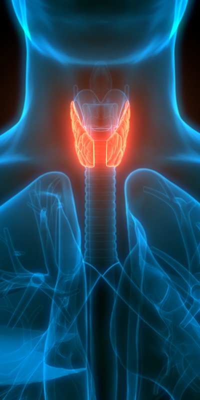 iStock-1225752940_Thyroid Nodules Thyroid Cancer Risk Factors